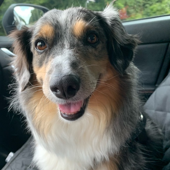 Meet your Posher, Julia Cyndi - Picture 7 of 7